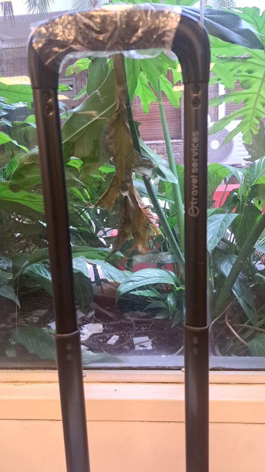 Foto de Carry On Travel Services (Pack de 10 unidades)