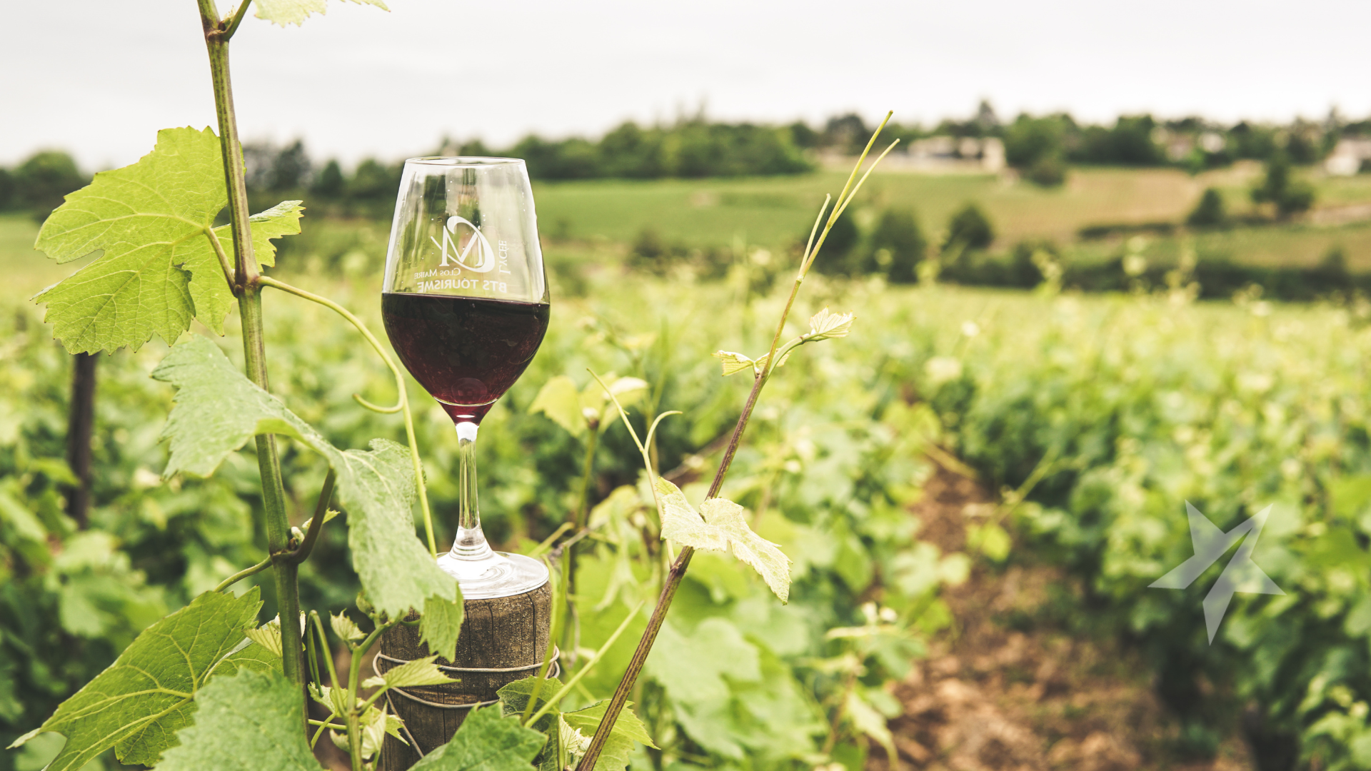 Nueva Zelanda: un viaje para el placer del vino y la gastronomía