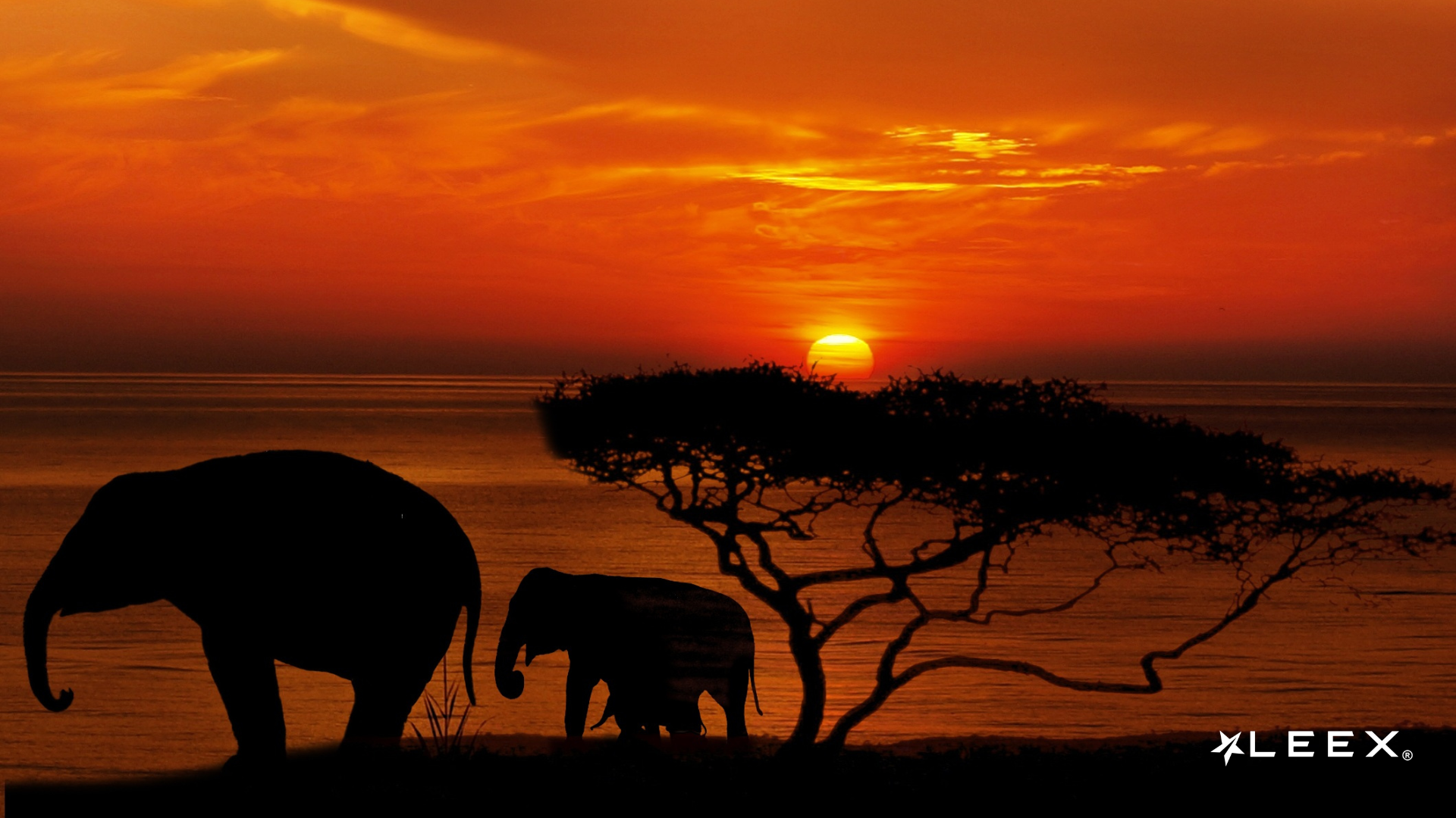 África