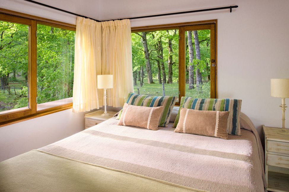 Foto de Paihuen cabañas