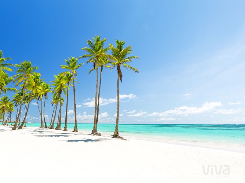 Punta Cana Verano'26