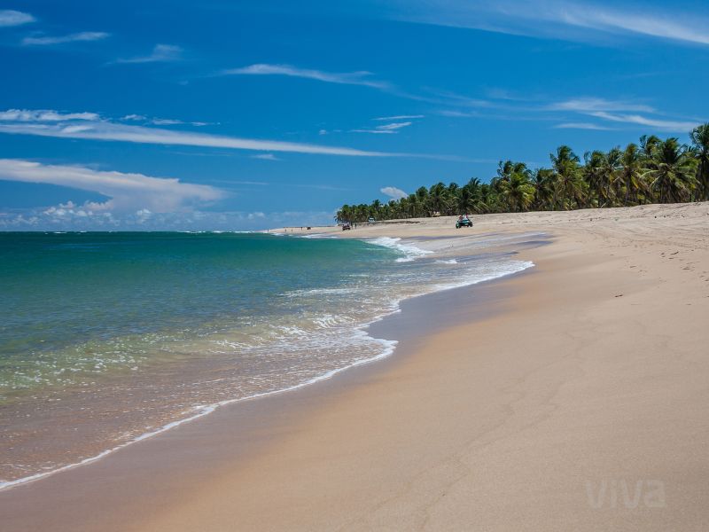 Maceio Verano'26