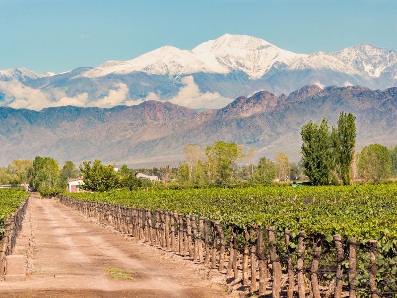 Mendoza Enero-26