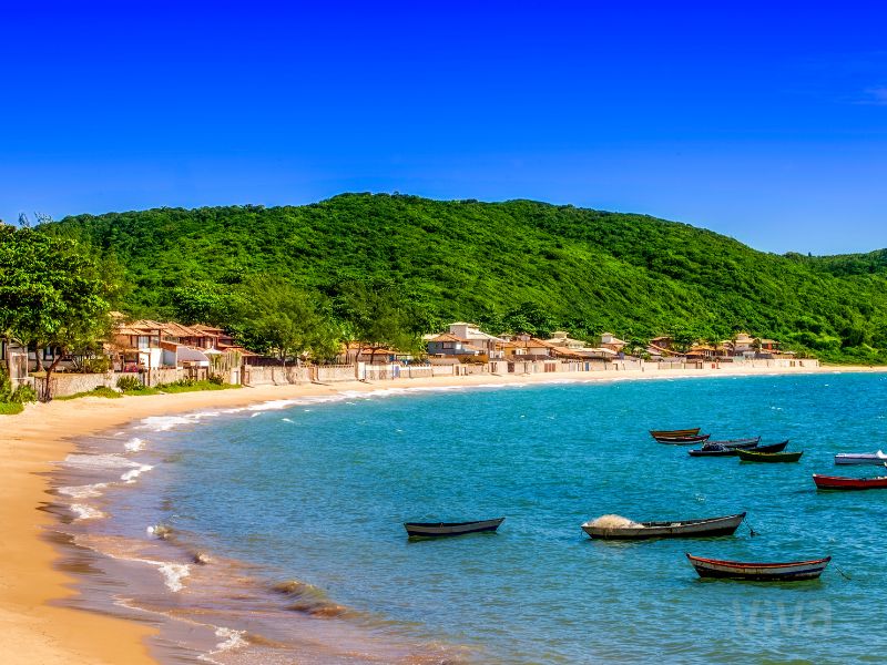 Buzios Verano'26