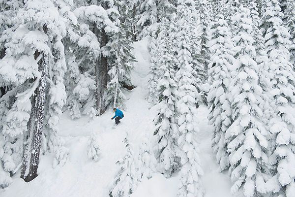 foto del Whistler