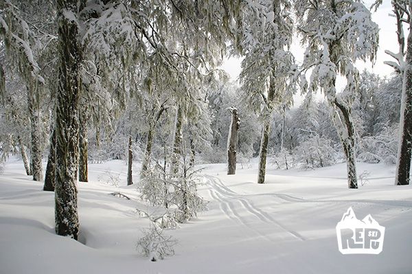 foto del Cerro Chapelco