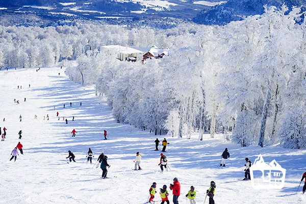 foto del Cerro Chapelco