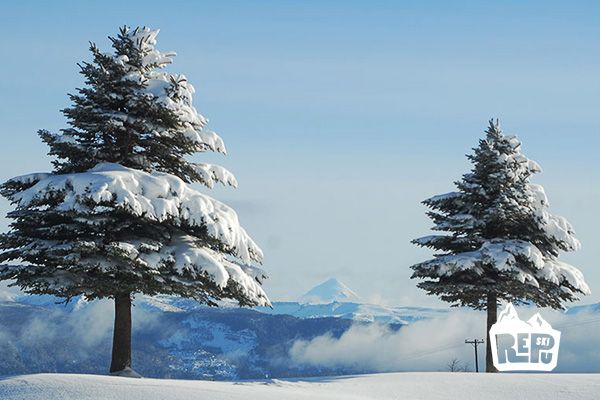 foto del Cerro Chapelco